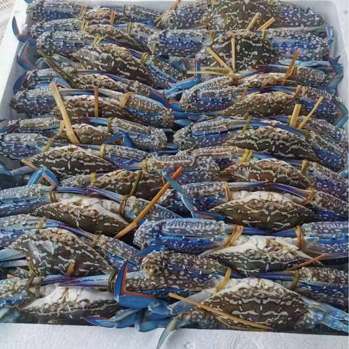 0成交1件北海禧扬商贸3年北海品牌蟹黄现拆梭子蟹蟹黄海蟹黄